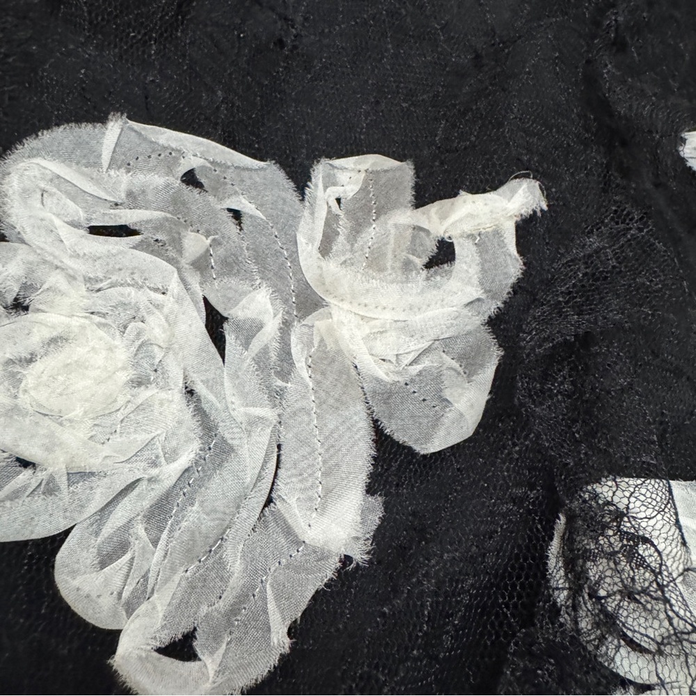 Rebecca Taylor sz 4 Ribbon Lace Dress Floral Black White - Picture 8 of 14